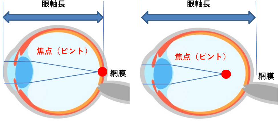 つけるはずすのイメージ図